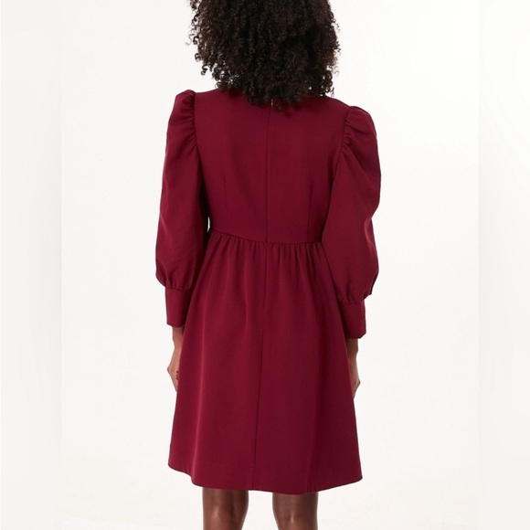 Tuckernuck Burgundy Mini Dress - Picture 4 of 13